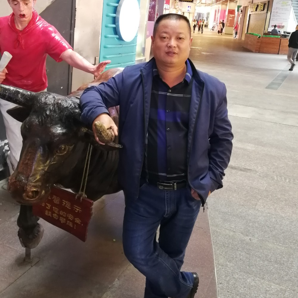 一生向往的照片