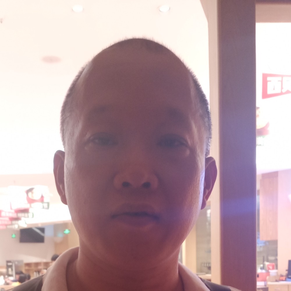 安静深拥小刺猬的照片