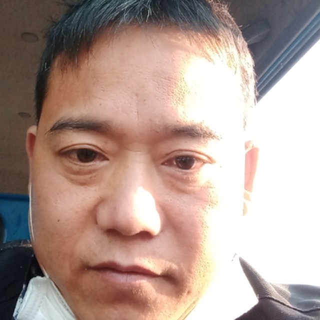 金毛如意的照片