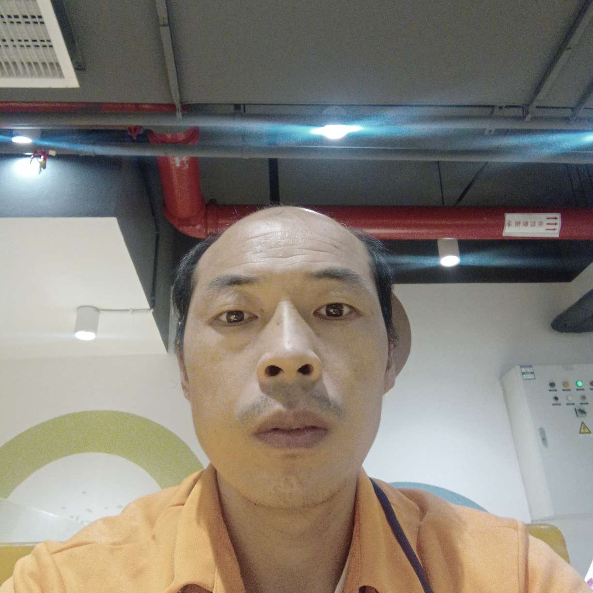 花瓣那正直的照片