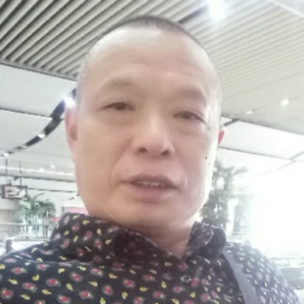 棒球老实的照片