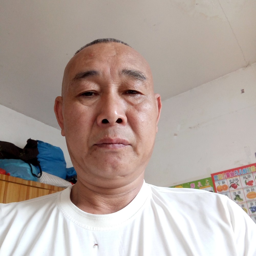 洞庭龙的照片
