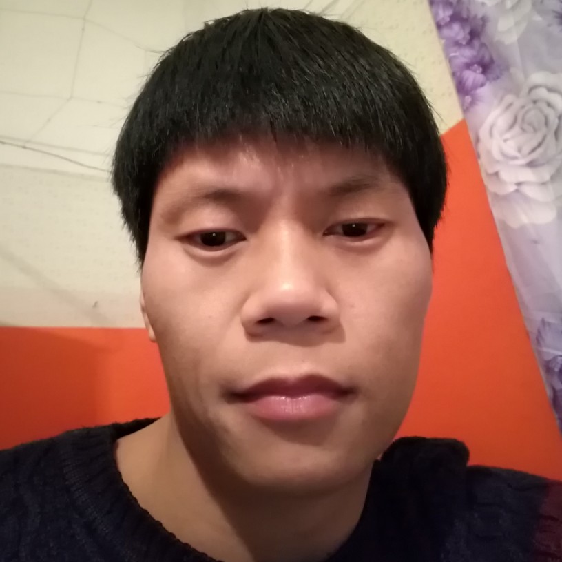 故意鸡的照片