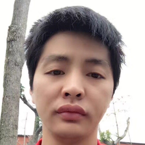 雪白大碗的照片