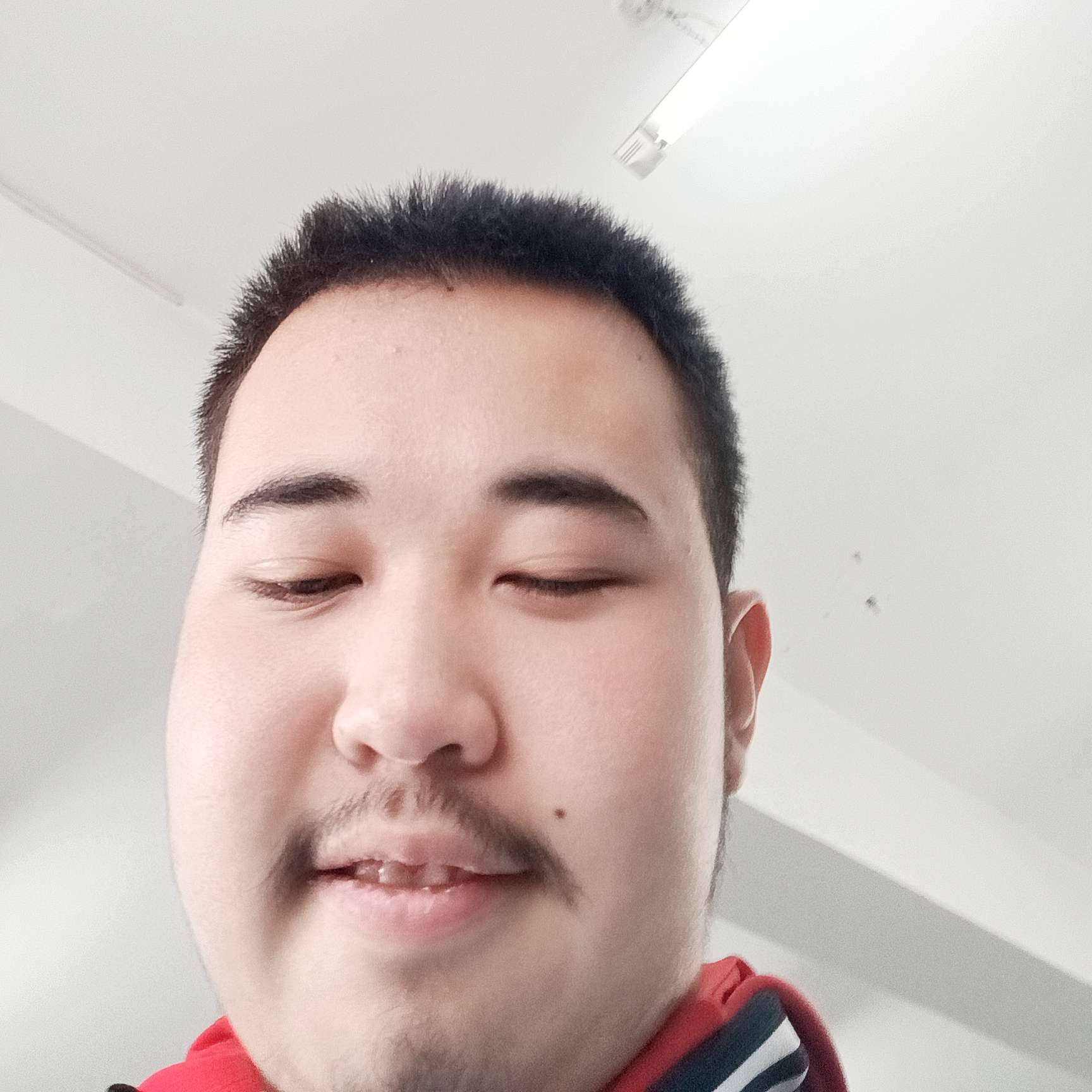 猫咪迎无辜的照片