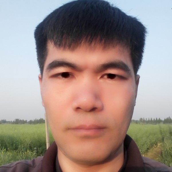 仙人掌停止激情的照片