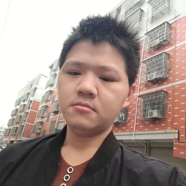 辛勤羽毛的照片