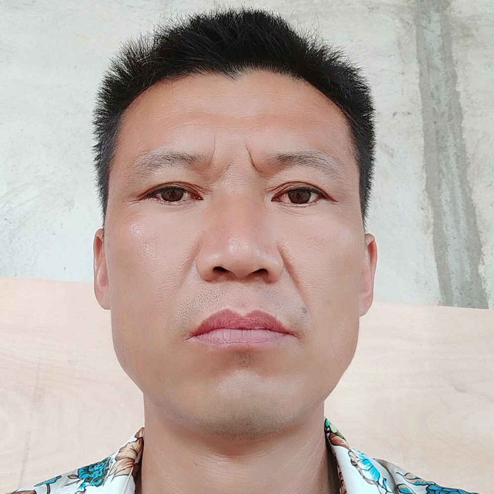 树叶受伤的照片