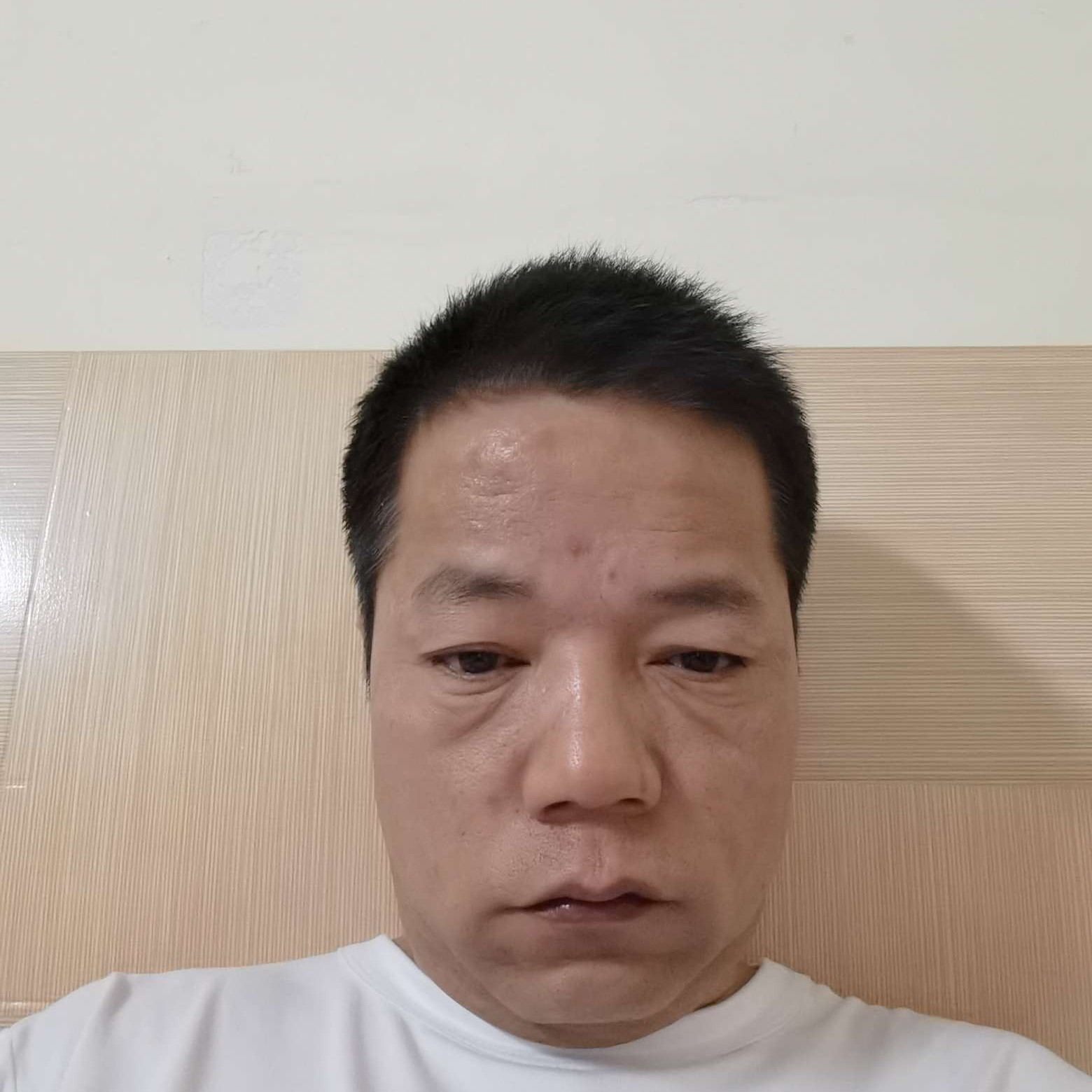 初夏苦恋晨阳的照片