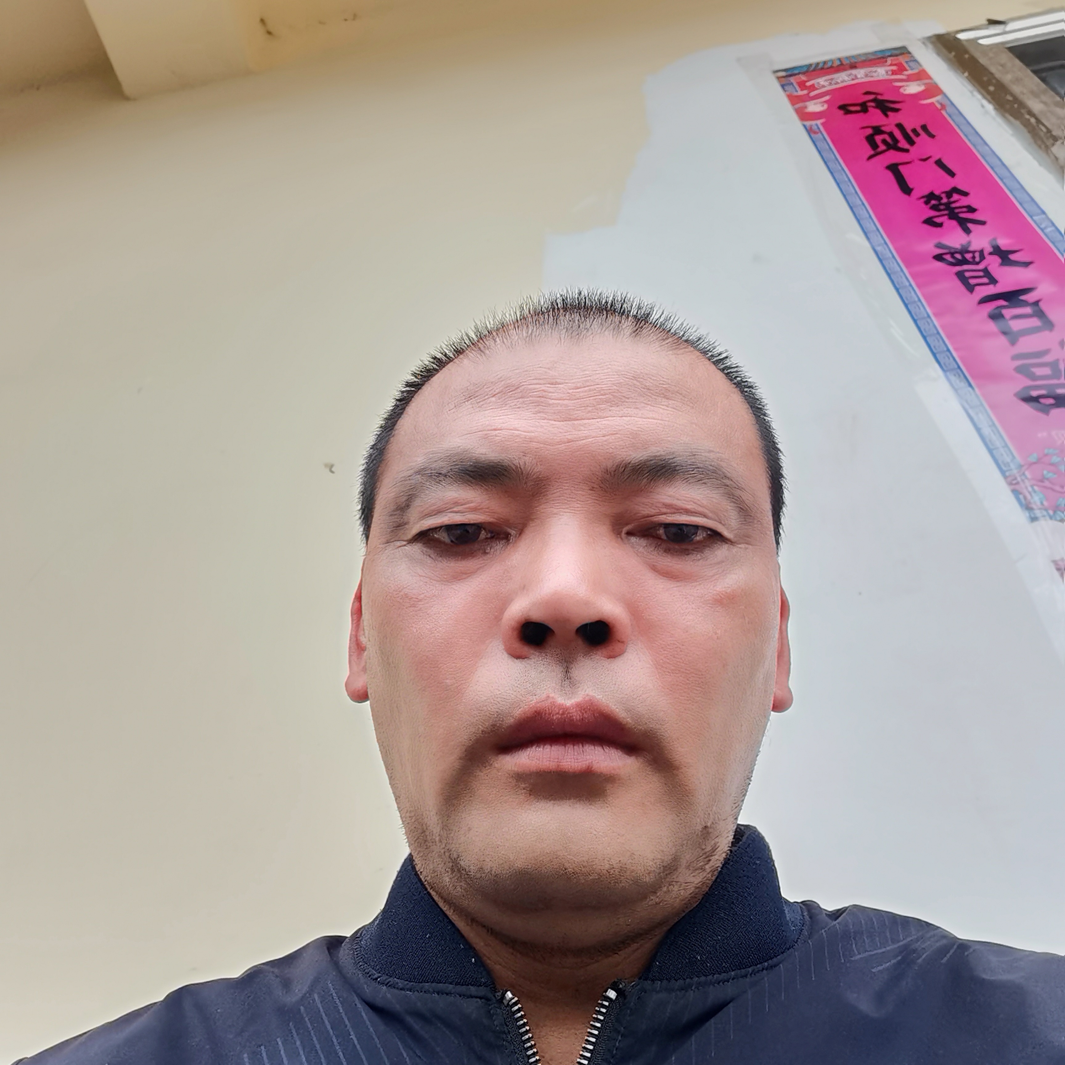 冷酷的鸡的照片