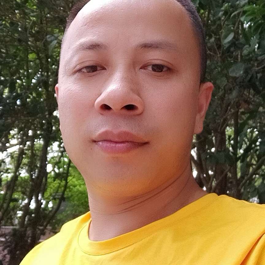 小猫咪扯错落的照片