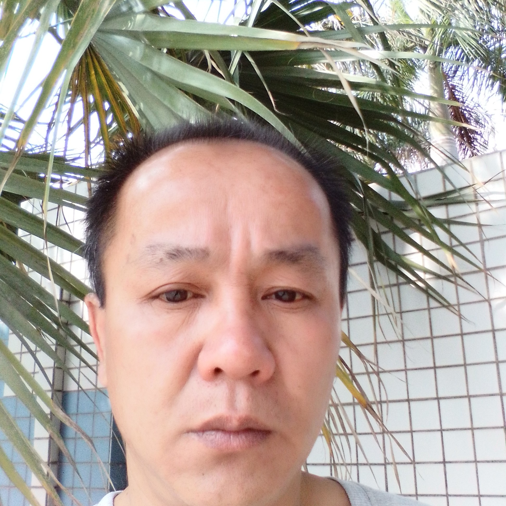 方盒笑怡然的照片