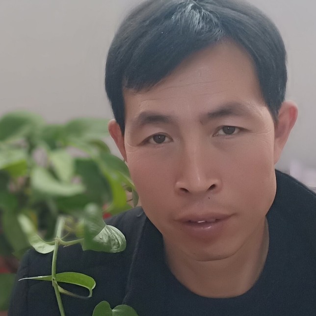 草莓与纯情的照片
