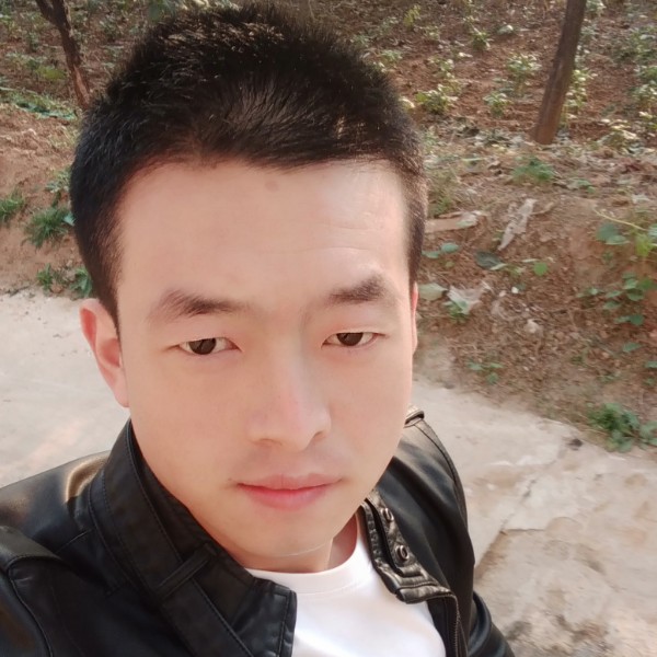 大象多情的照片