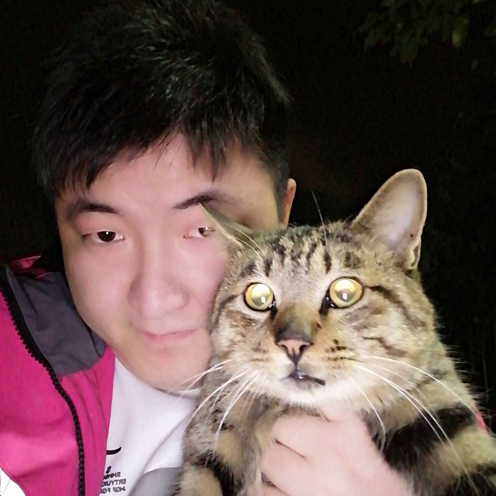柒屿的照片