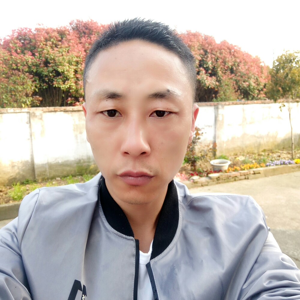 回首已阑珊的照片