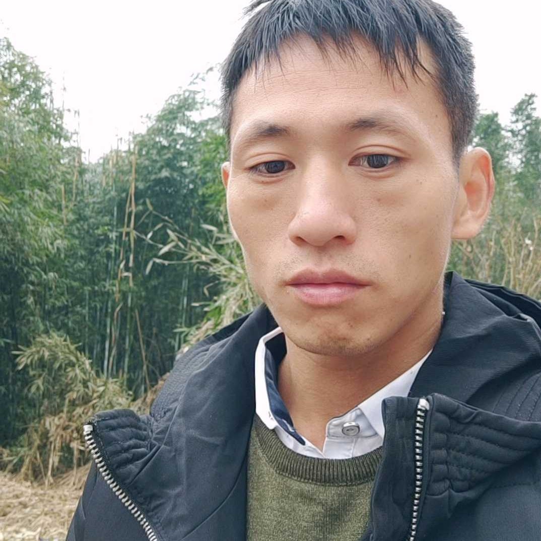 走走看看1的照片