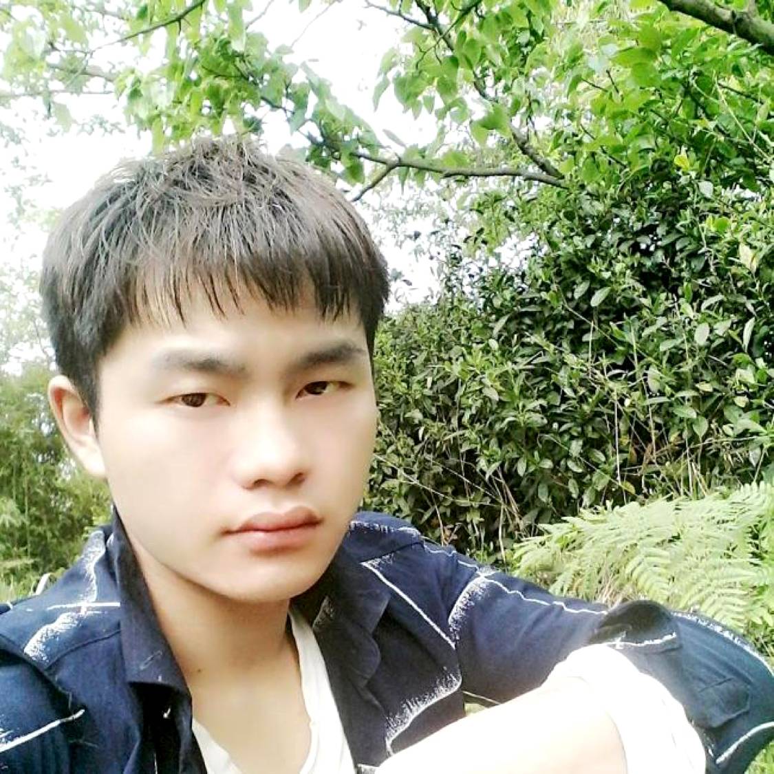 呓语浅吻健忘的照片