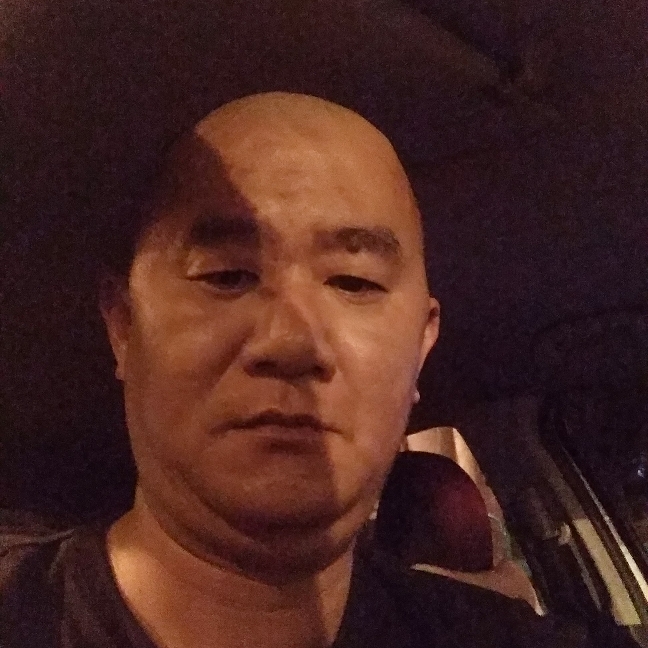 复杂小天鹅的照片
