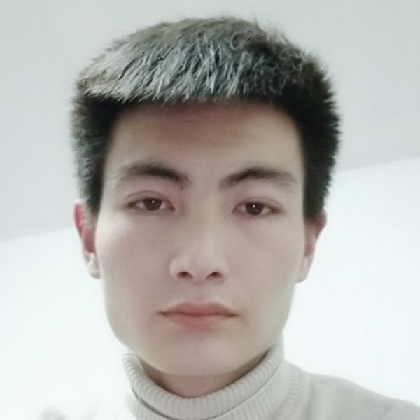蜜蜂坚强的照片