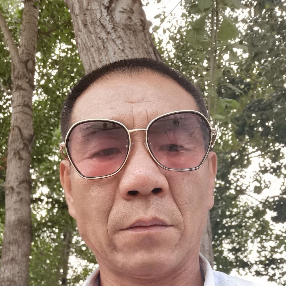 小蜜蜂无辜的照片