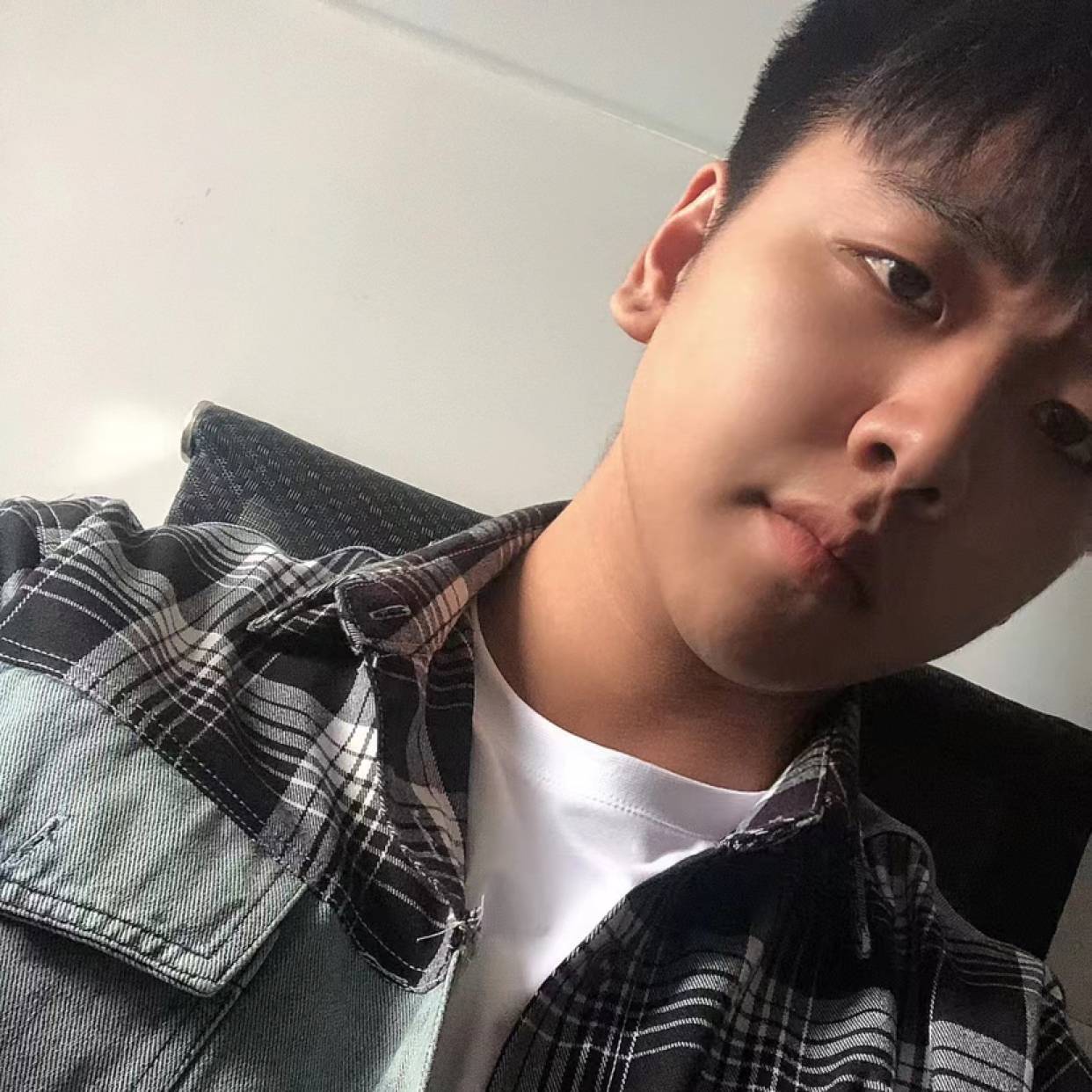 蓝桉何遇释槐鸟的照片