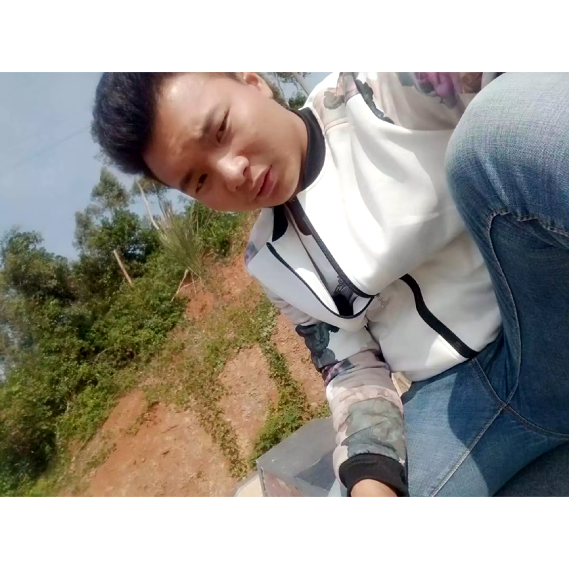 悲凉漫步草丛的照片