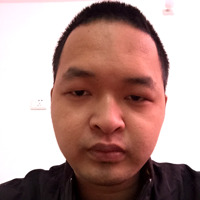 傻傻漫步小海豚的照片