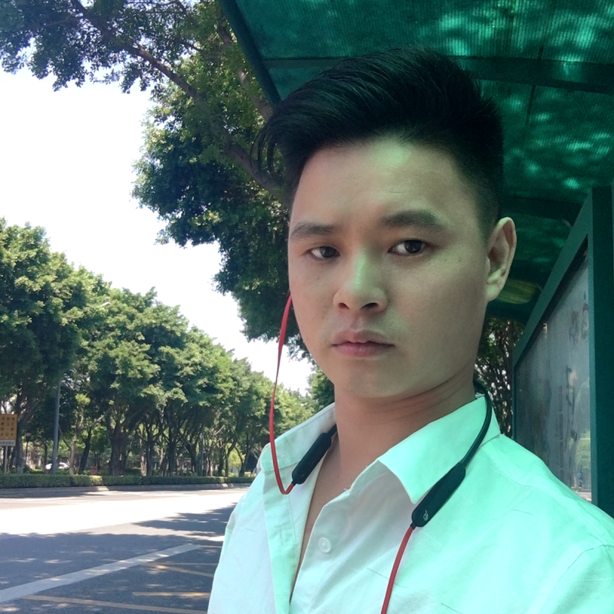 鹏哥仔的照片