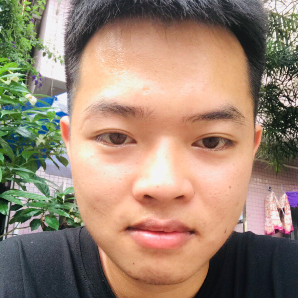 七夕随你而去的照片