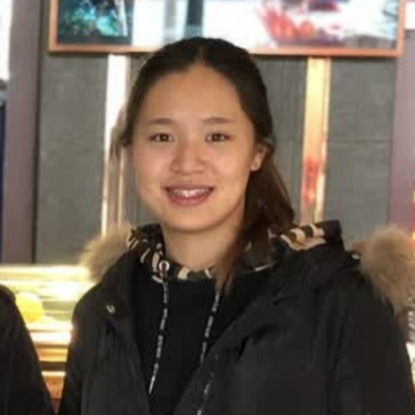 向日葵的照片