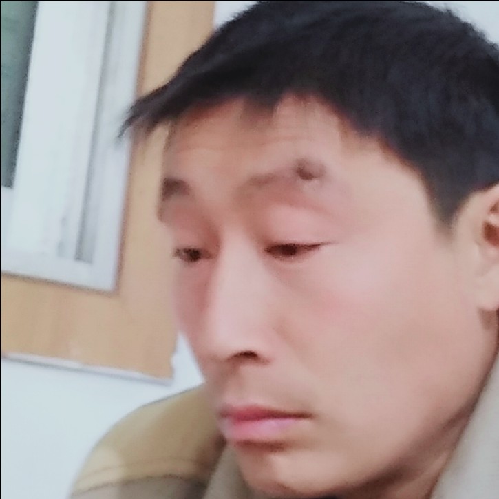 小鸭子浅吻贪玩的照片