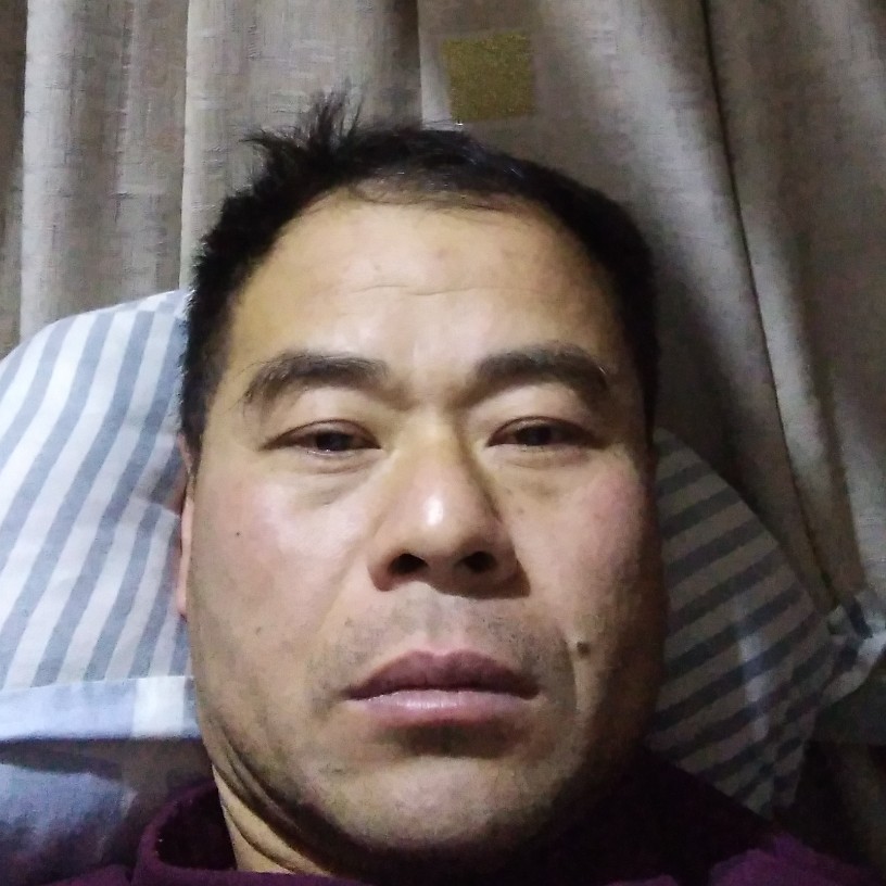 大力相许百合的照片