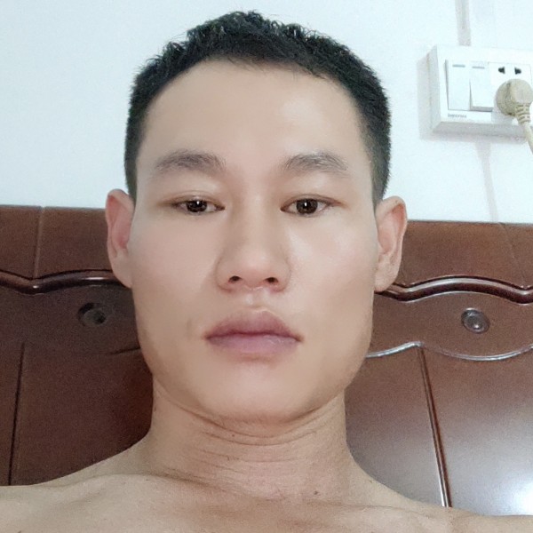 糊涂拾忆长颈鹿的照片