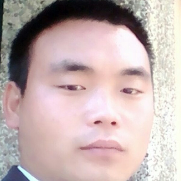 雪中飞燕的照片