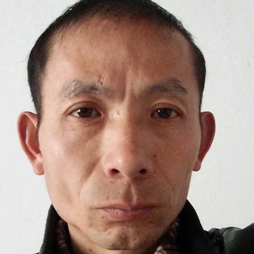 胡萝卜拾忆迷人的照片