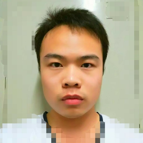 樟下的照片