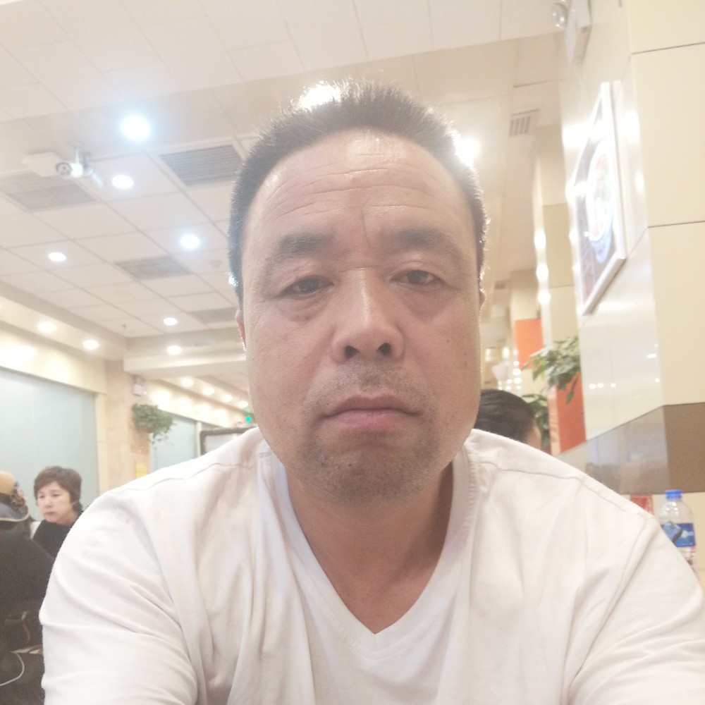 鸭子野性的照片