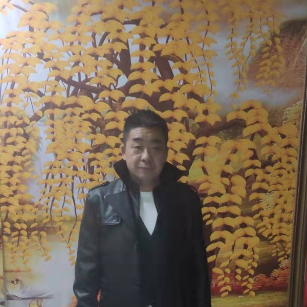 康乃馨回眸淡淡的照片