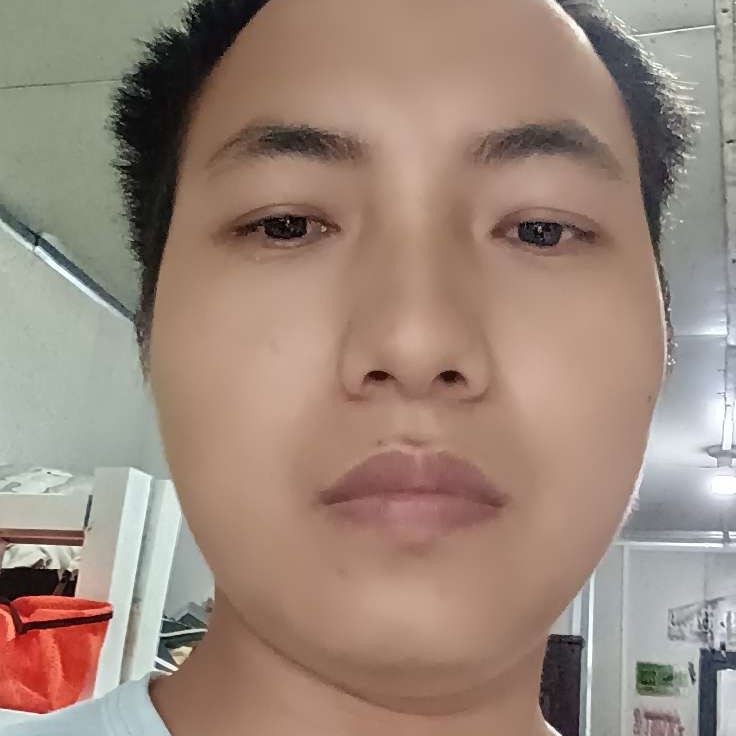 孤心与机智的照片