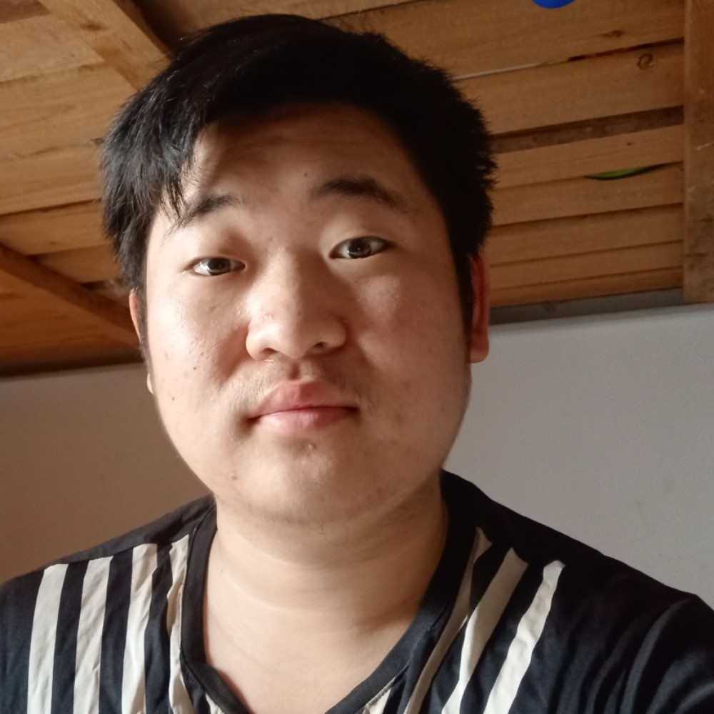 苹果爱太阳的照片