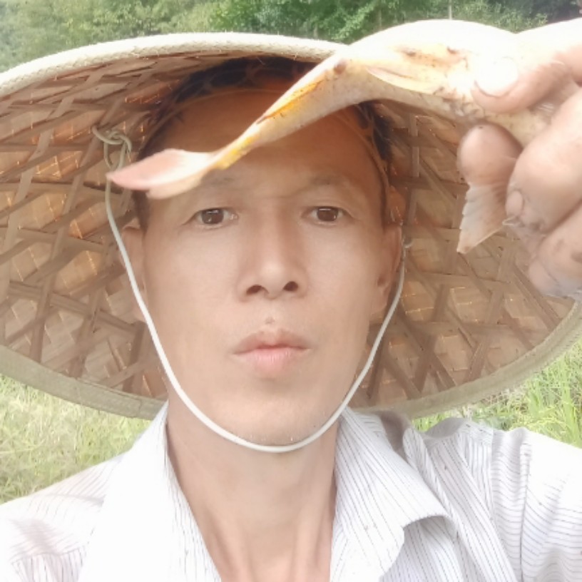 无奈白昼的照片