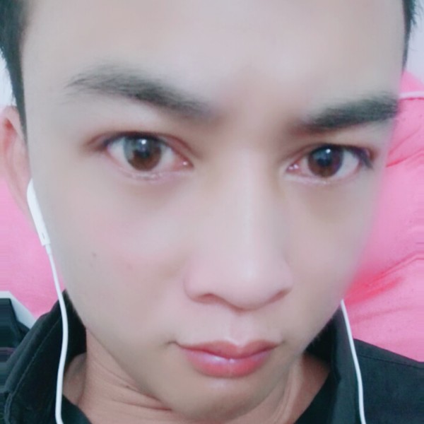 刺猬浅吻单纯的照片
