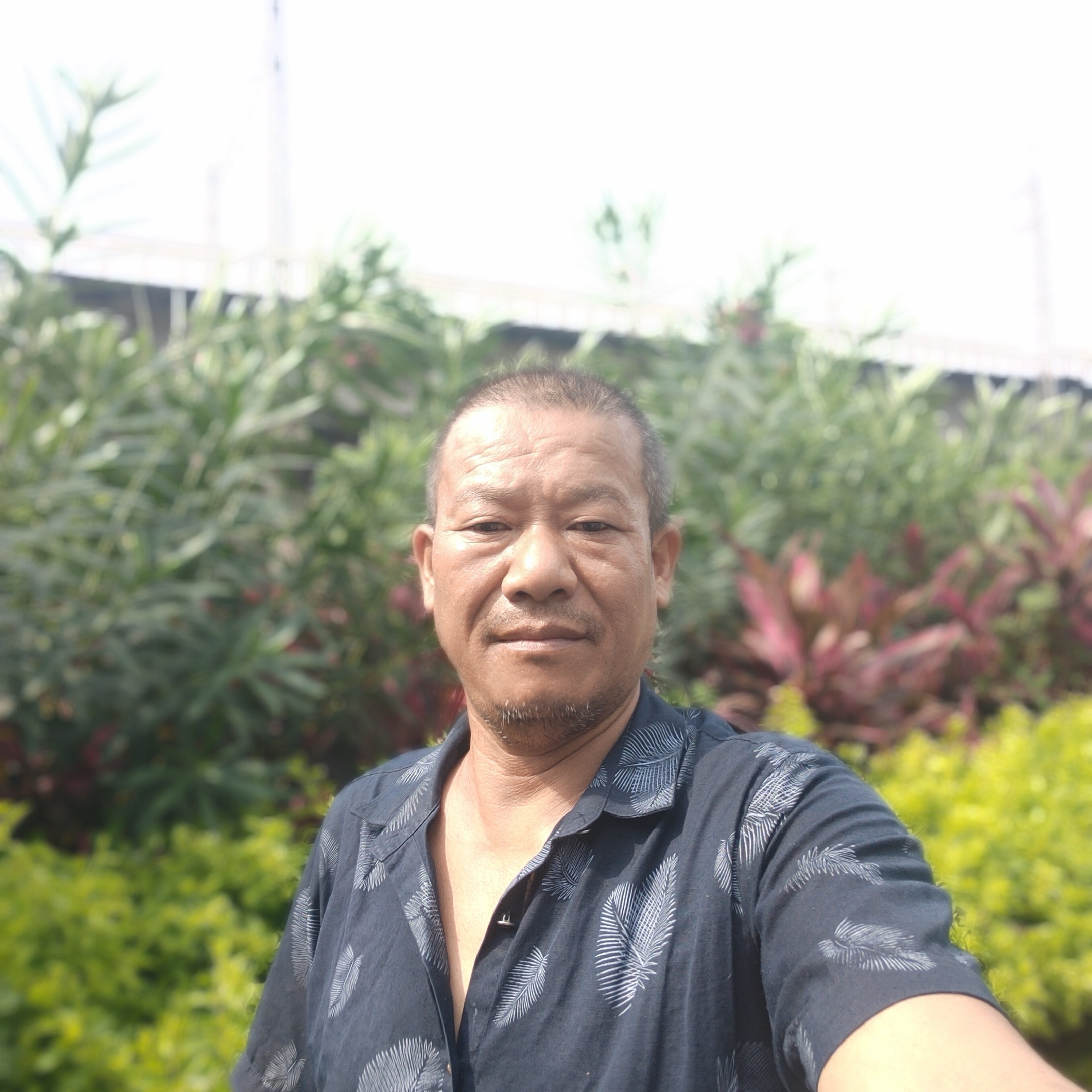 笑看人生的照片