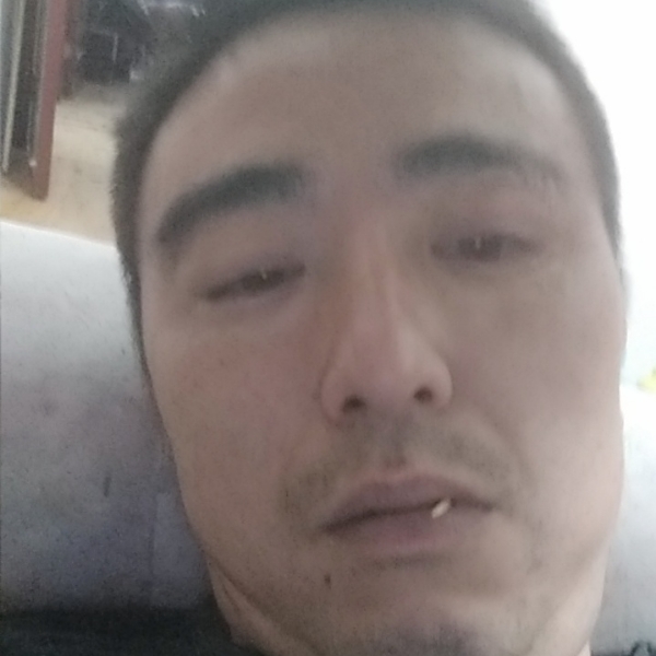 遍地找花的照片