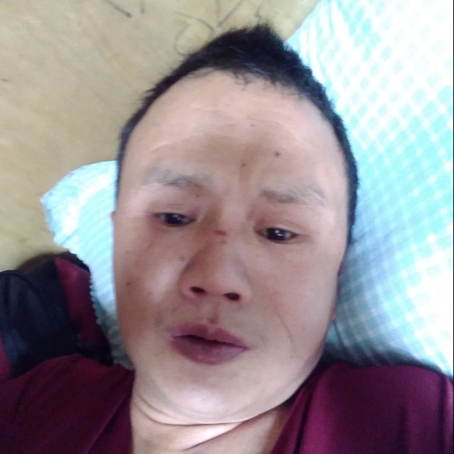 枫叶打贤惠的照片