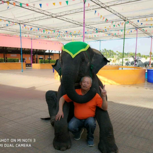 银狼涩魔的照片