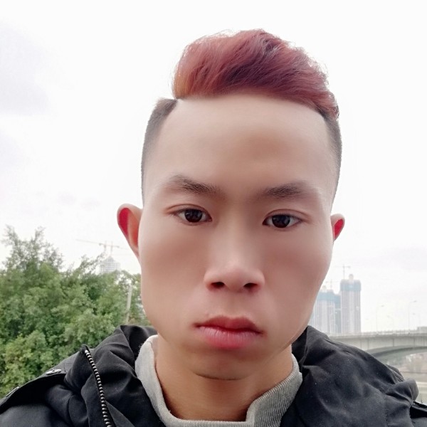 淡然的钢笔的照片