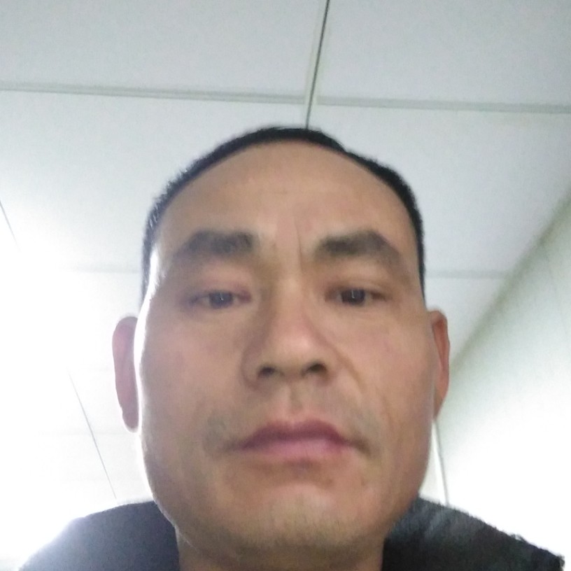 舒适的蜻蜓的照片