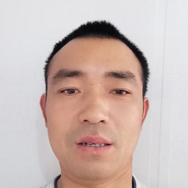 低落的太阳的照片